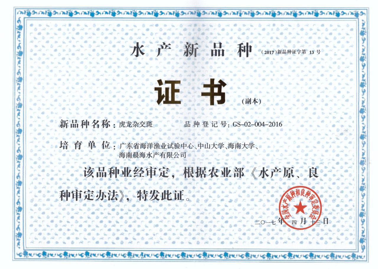 厲害了，我的“虎龍雜交斑”
