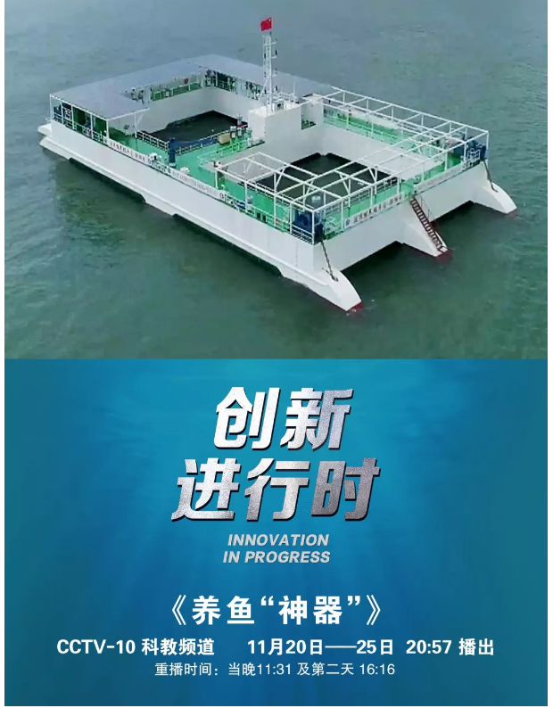 風(fēng)再猛、浪再大，都攔不住我養(yǎng)魚的雄心！